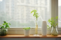 我就爱上班的时候“沾花惹草”