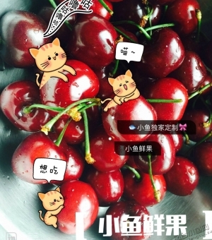 ̨׼̳"С԰"