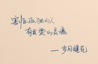 岁月缝花
