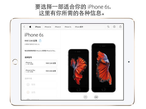 iPad 屏幕截图 2